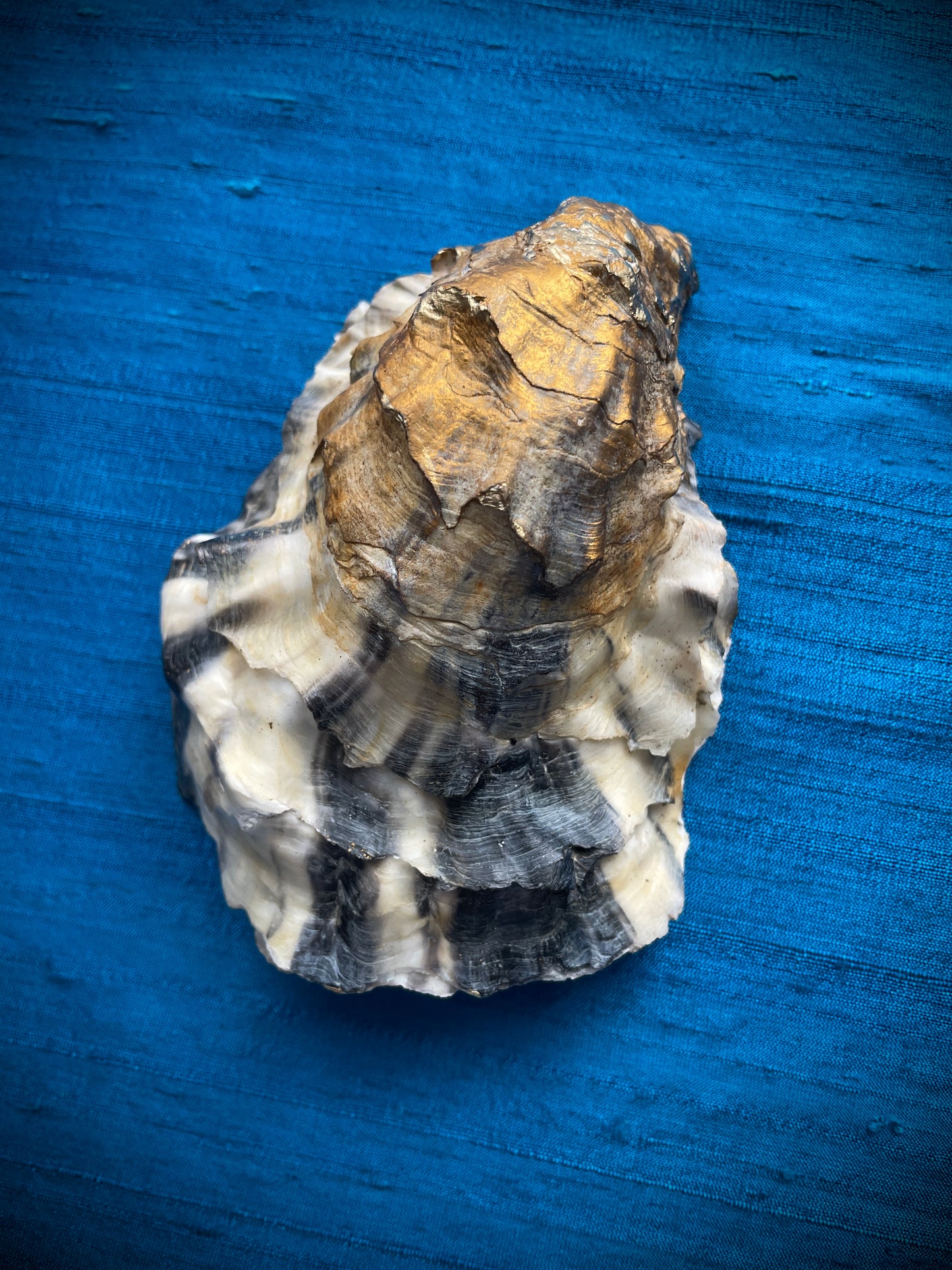 Calligraphy Oyster Shell 'She Whispered'