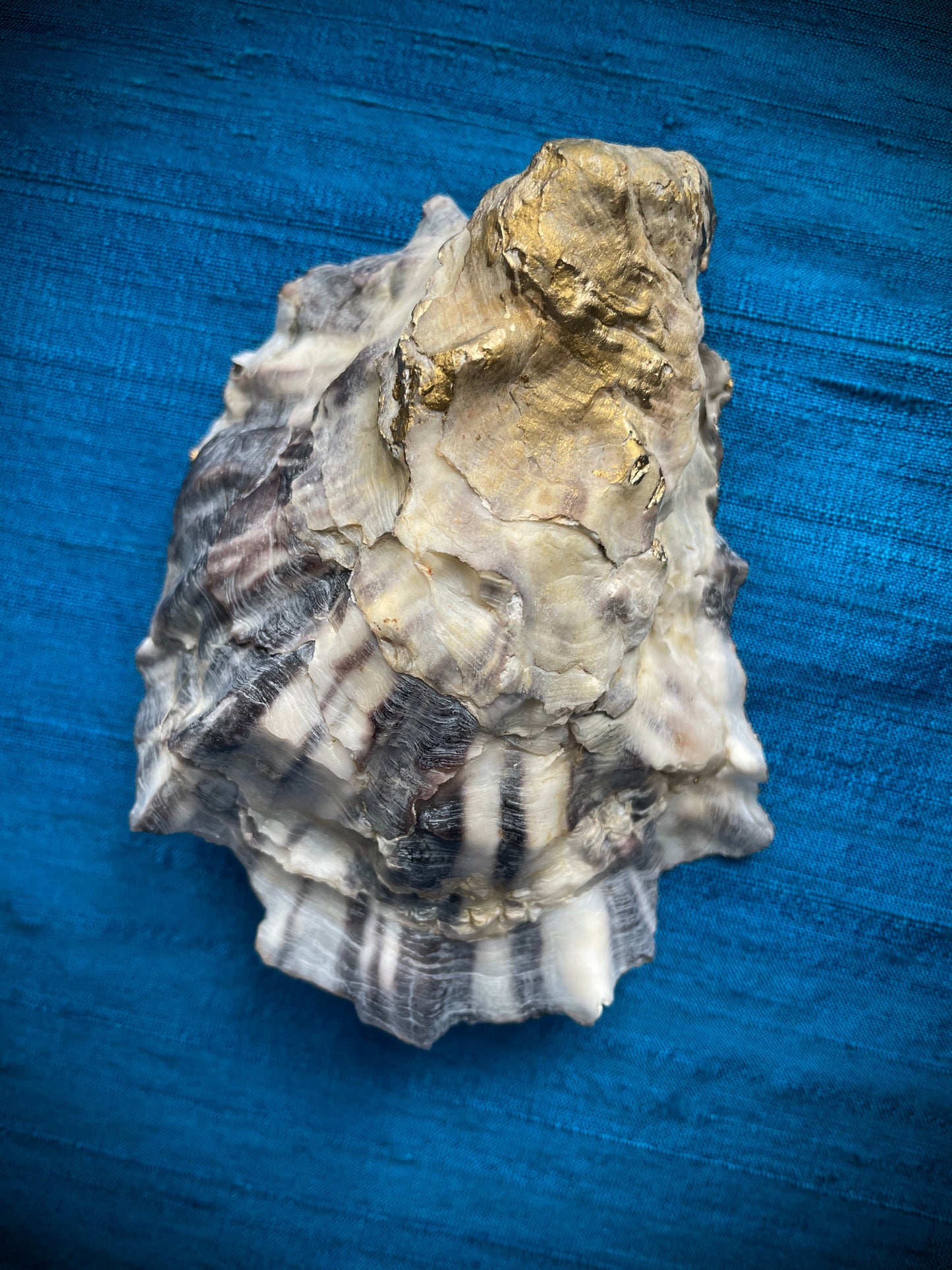 Calligraphy Oyster Shell 'When I Saw You'