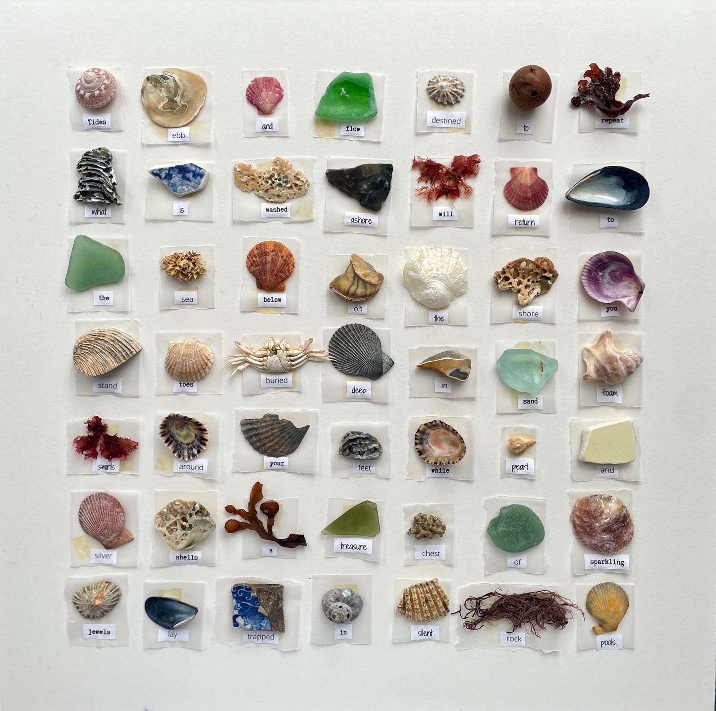 Poetry Shell Art Box no.1