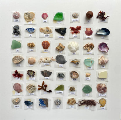 Poetry Shell Art Box no.1